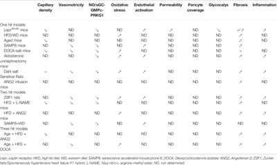 Endothelial Dysfunction in Heart Failure With Preserved Ejection Fraction: What are the Experimental Proofs?